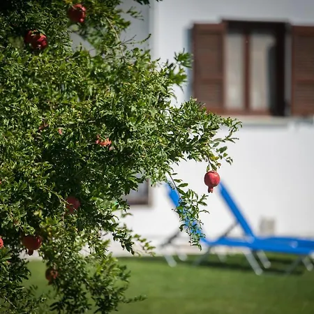 Διαμέρισμα Molino Νικήτη